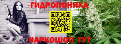 прущие крисы Жуковский