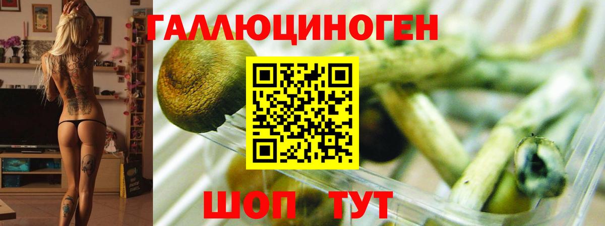 Галлюциногенные грибы мухоморы  Псилоцибиновые грибы MAGIC MUSHROOMS  Мариинск  Вход с VPN 
